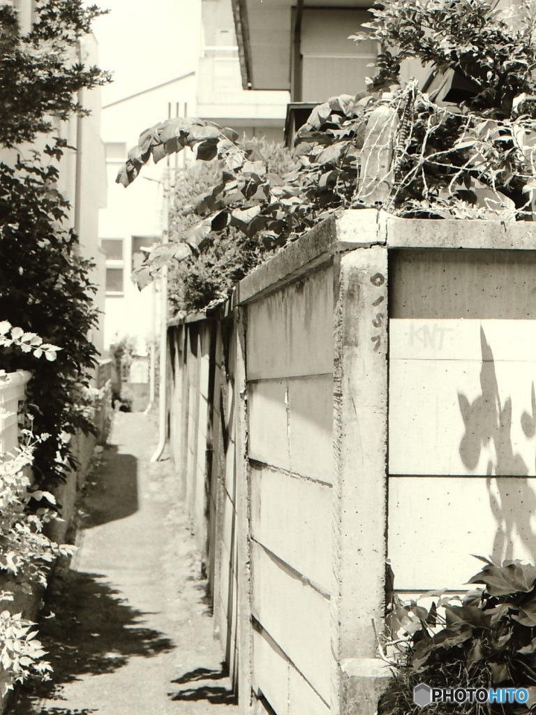 路地