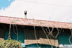 煙突とトタン屋根