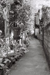 ショートカット