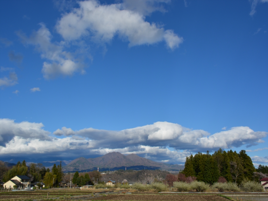 DSC_0409_R