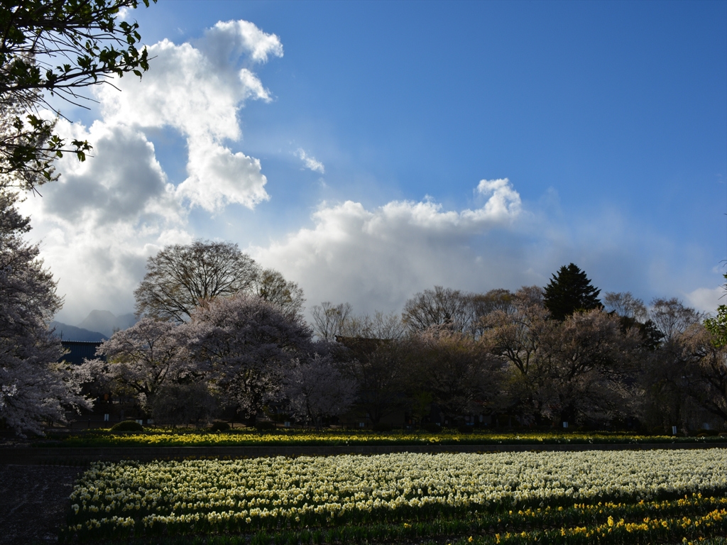 DSC_0405_R