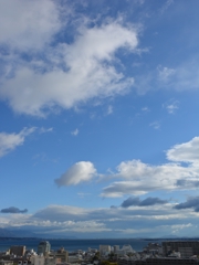 DSC_0345_R