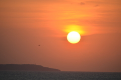 夕陽は海へ
