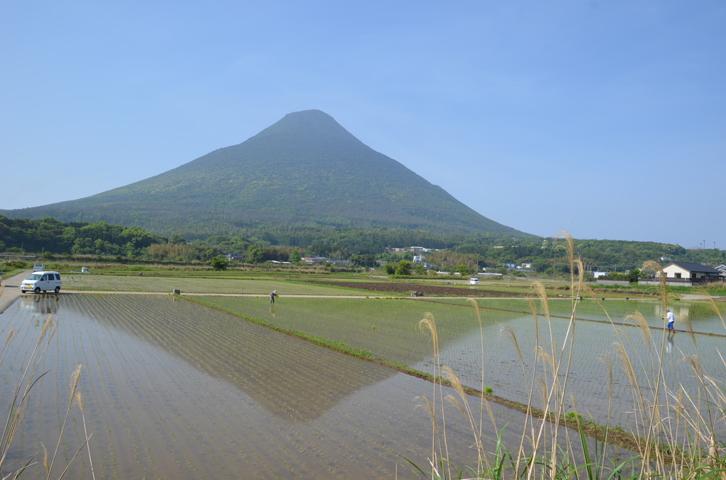 田植え～