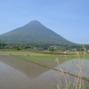 田植え～