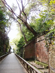 無人島　猿島　01