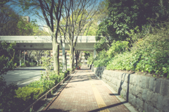道