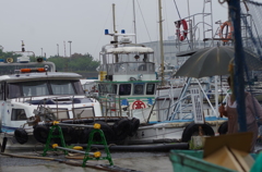 雨の堺漁港