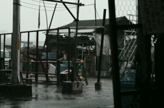 雨の堺漁港