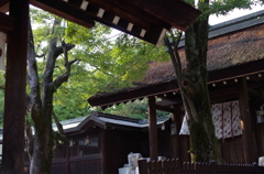 大鳥大社
