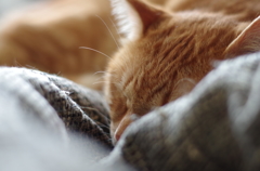 take a nap