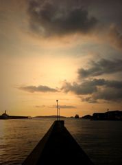 ウォーキングの途中に（別日3）