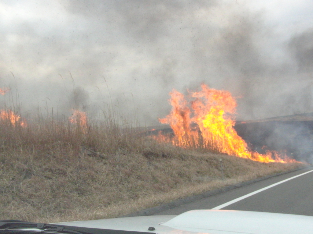 山火事？