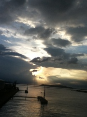 ウォーキングの途中に1