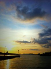 ウォーキングの途中に（別日2）