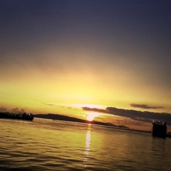 ウォーキングの途中に（別日1）