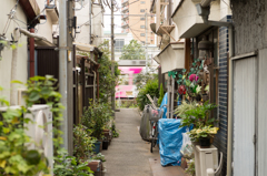 路地から荒川線