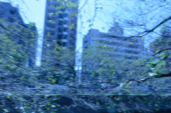 荒川線