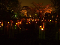 円山公園内の灯