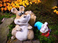 RIMG0068