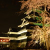 春の夜の宴