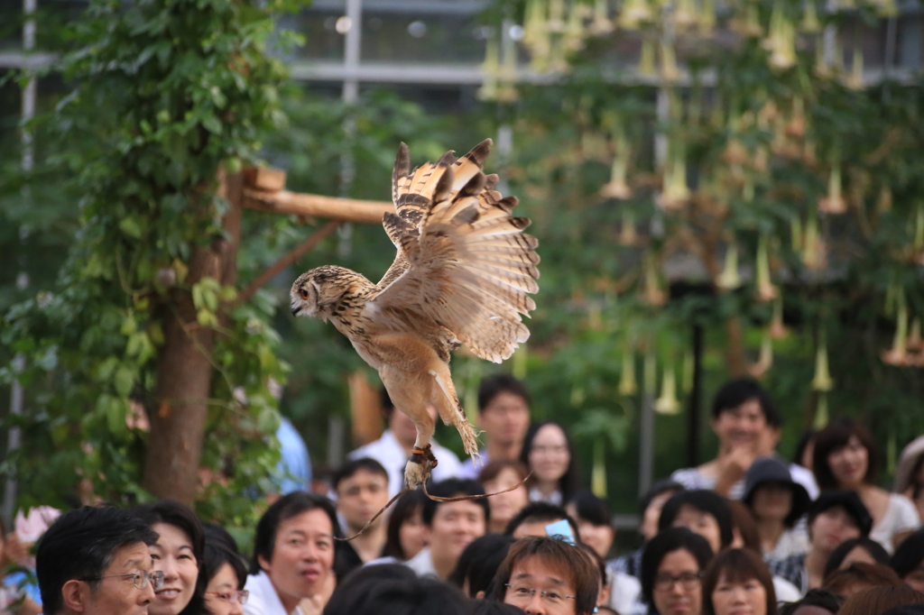 着陸態勢！