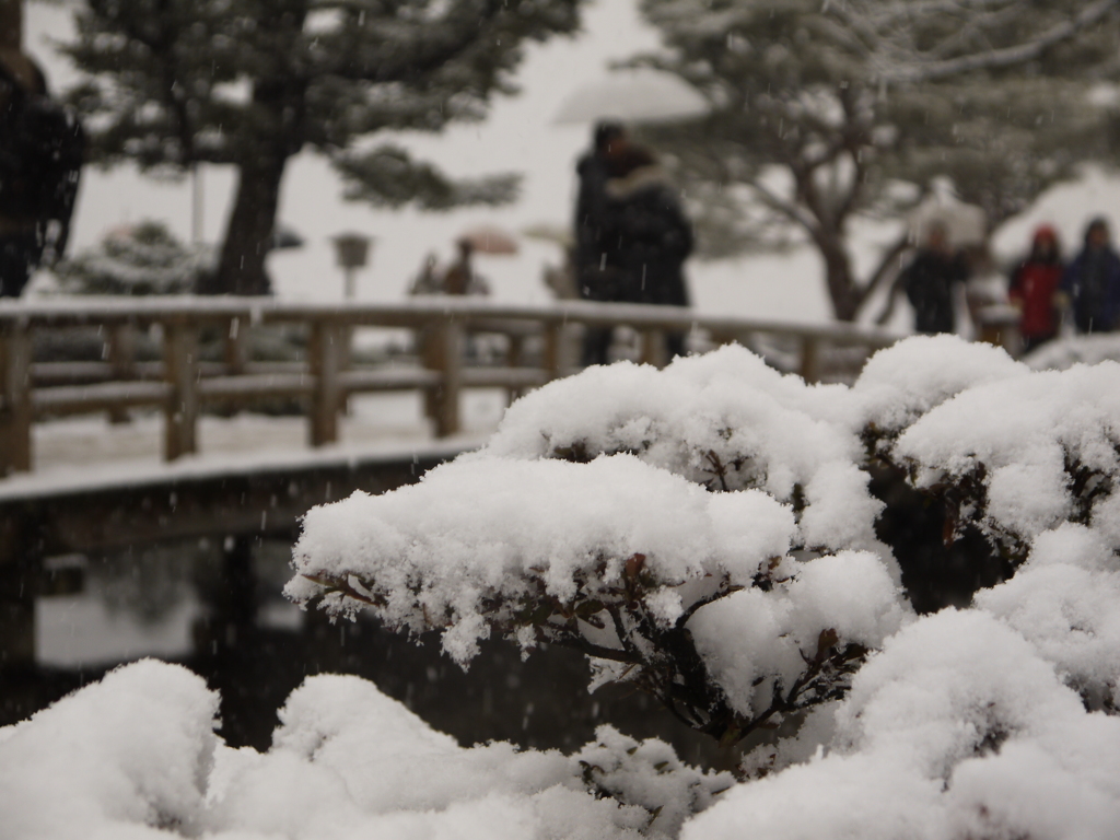 雪の中