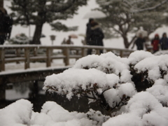 雪の中