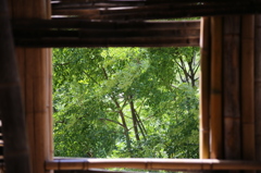 竹窓