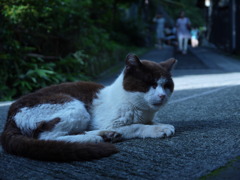 温泉街にて