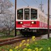 近江鉄道～２０１３年春～その２