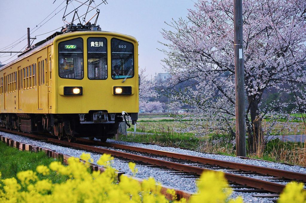 近江鉄道～２０１３年春～その１