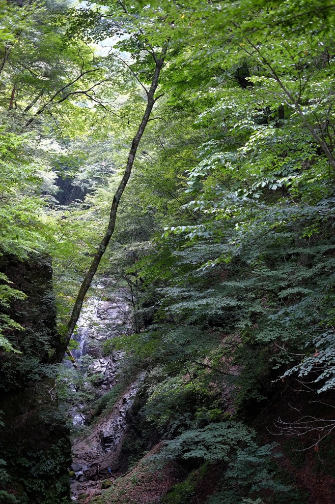 西沢渓谷