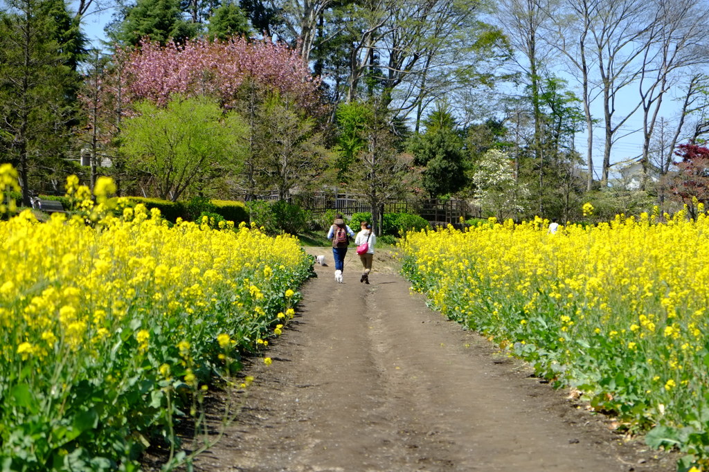 とある土曜日