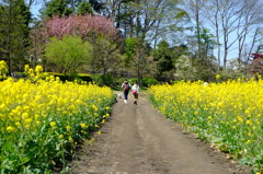 とある土曜日