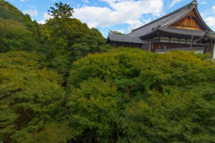 20171025東福寺
