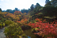 20171107吉城園