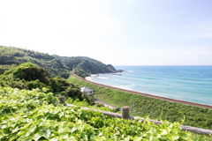 20170810島根