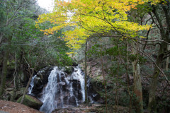 滝