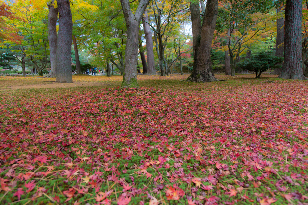 兼六園にて