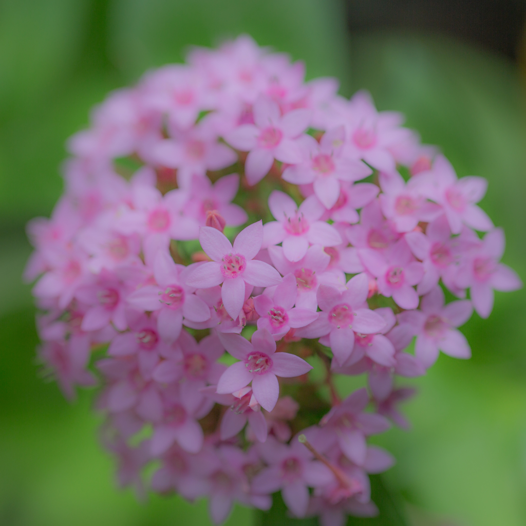 植物公園にて