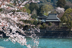 2017宇治