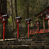京都（冬）-1