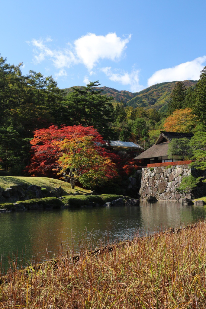 秋の庭園２