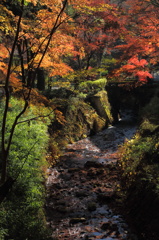 秋の小川