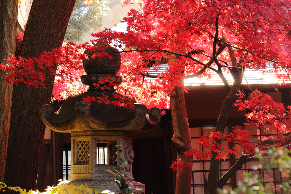 石灯篭と紅葉