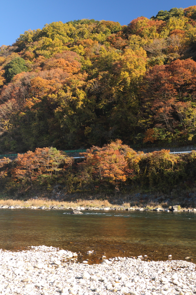 関東の嵐山１