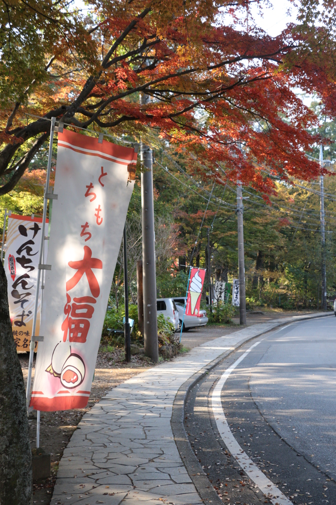 紅葉狩りに欠かせない物
