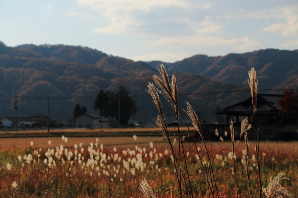 田舎風景