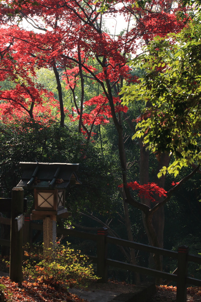 灯篭と紅葉